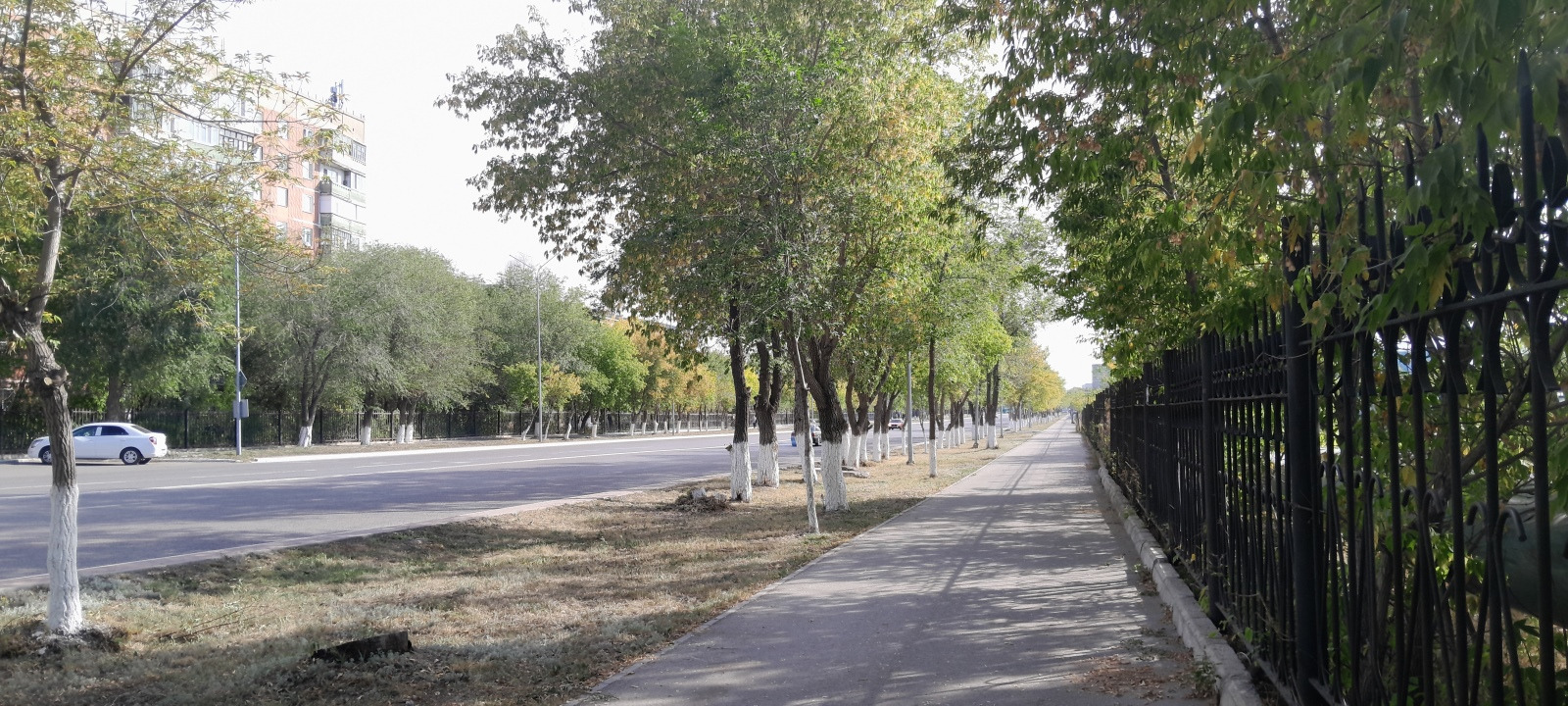 Дорога