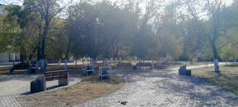 Скамейки в парке