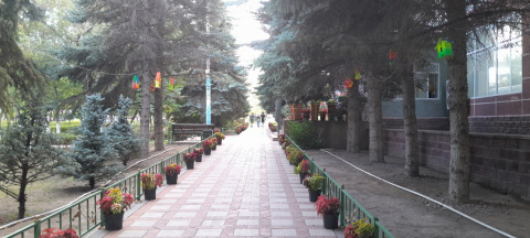 Городской парк