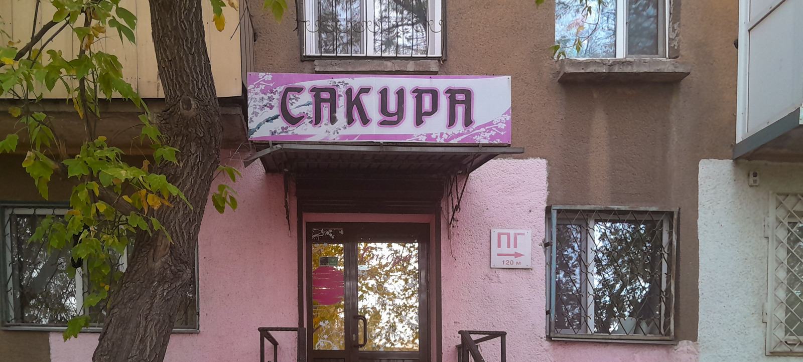 Сакура