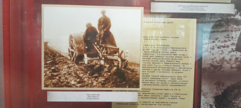 Депортация