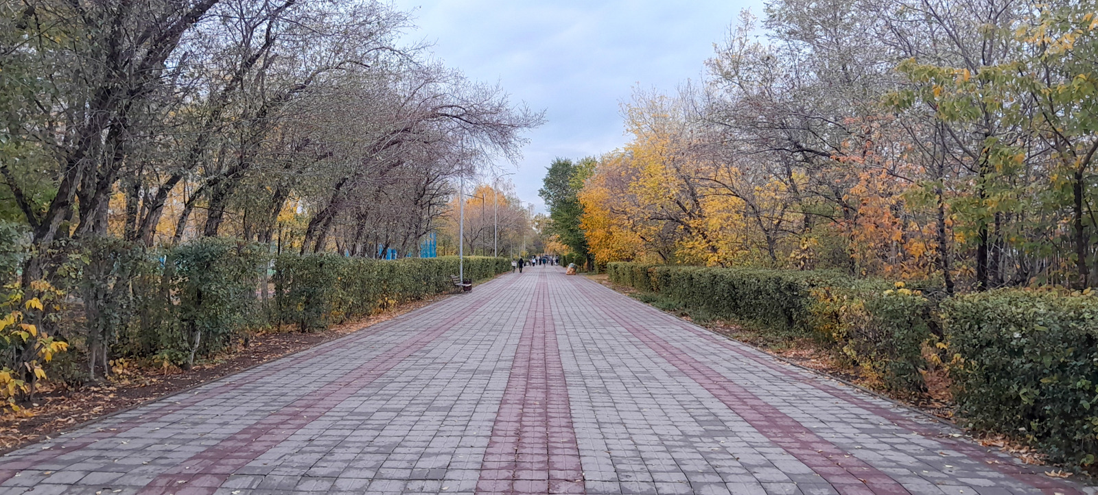 Пешеходный тротуар в парке