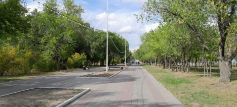 Деревья в парке